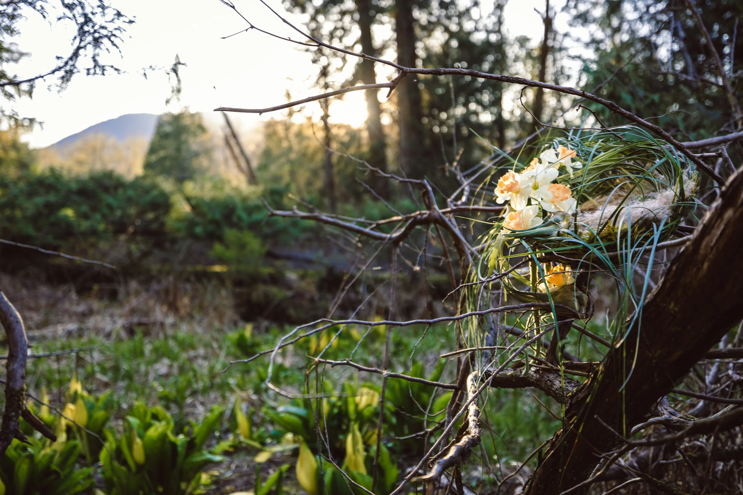 FLOWER NESTS - Creative Edge April 2021 — Hitomi Gilliam AIFD